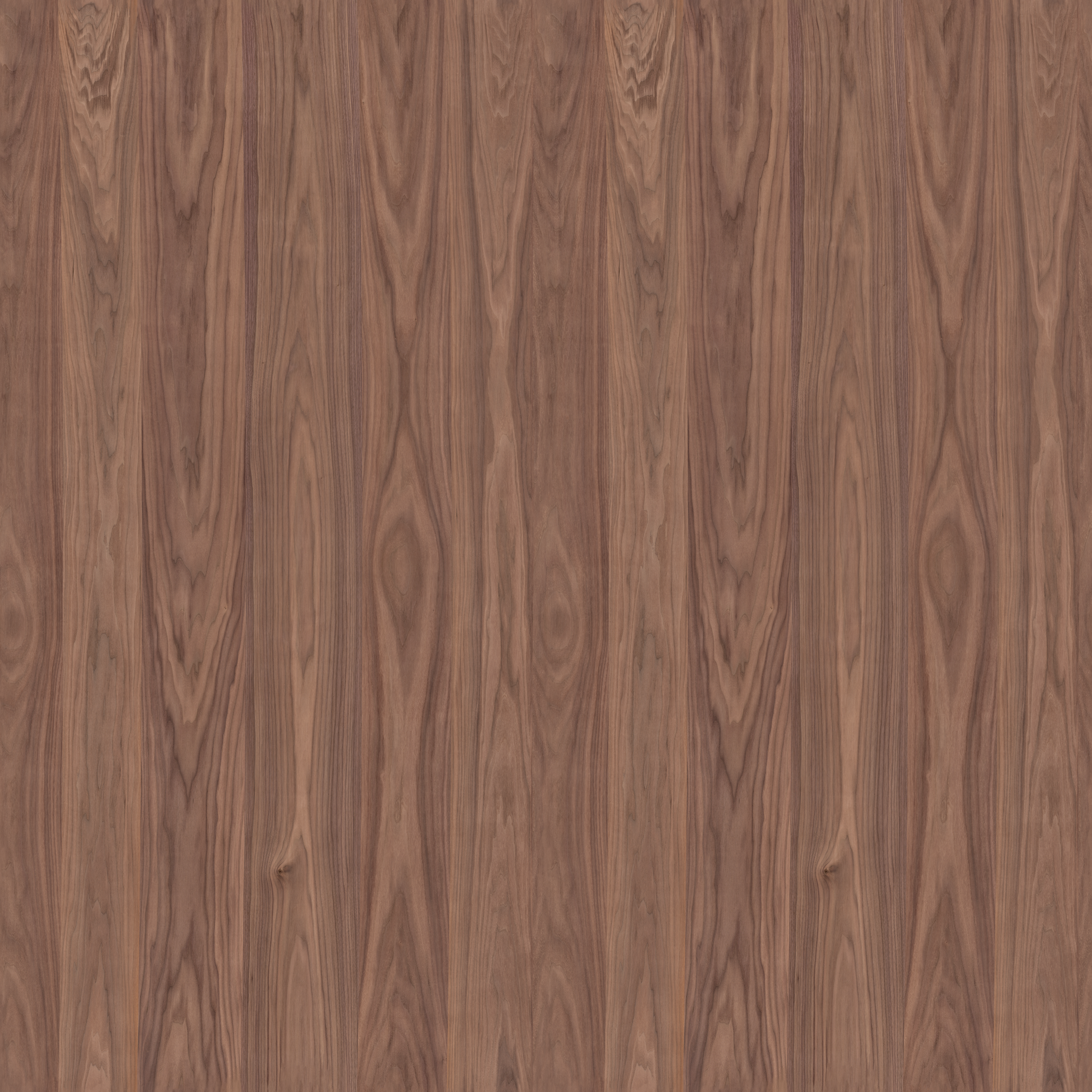 veneerWalnut